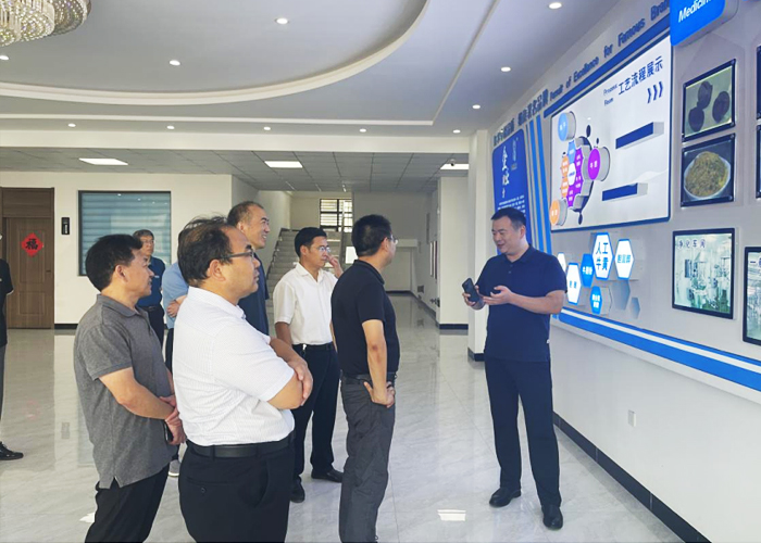 淮北市副市長黃韡一行蒞臨華智參觀調(diào)研
