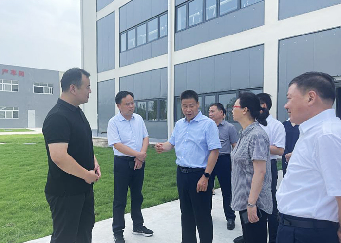 淮北市委書記覃衛(wèi)國一行蒞臨華智參觀調(diào)研