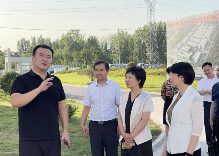 安徽省政協(xié)副秘書長，民建安徽省委會主委李霞一行蒞臨華智參觀調(diào)研