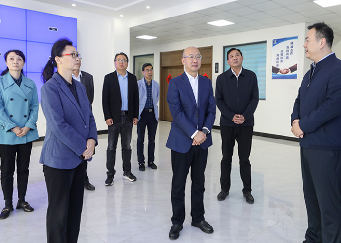 淮北市委副書記、市長汪華東一行蒞臨公司參觀調(diào)研